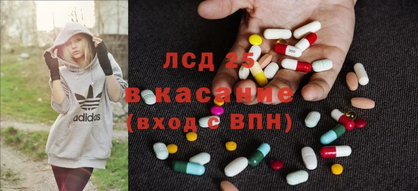 ПСИЛОЦИБИНОВЫЕ ГРИБЫ Алексин