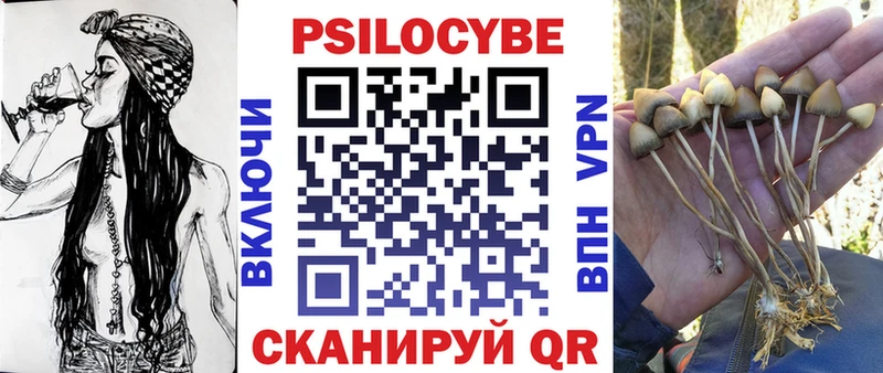 Галлюциногенные грибы GOLDEN TEACHER  Купить где  Тавда 
