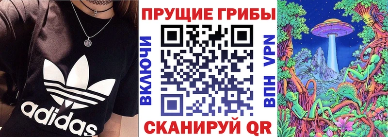 Псилоцибиновые грибы прущие грибы Тавда