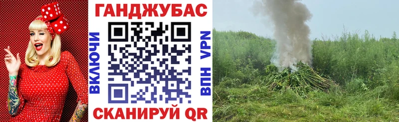 Купить  Тавда  Бошки Шишки планчик 